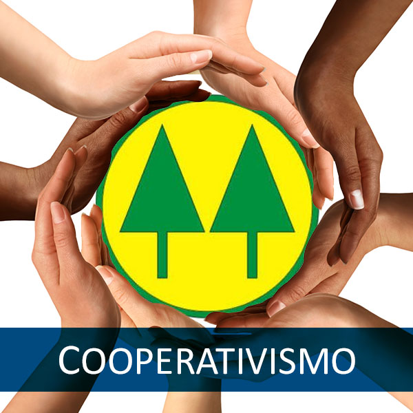 Cooperativismo